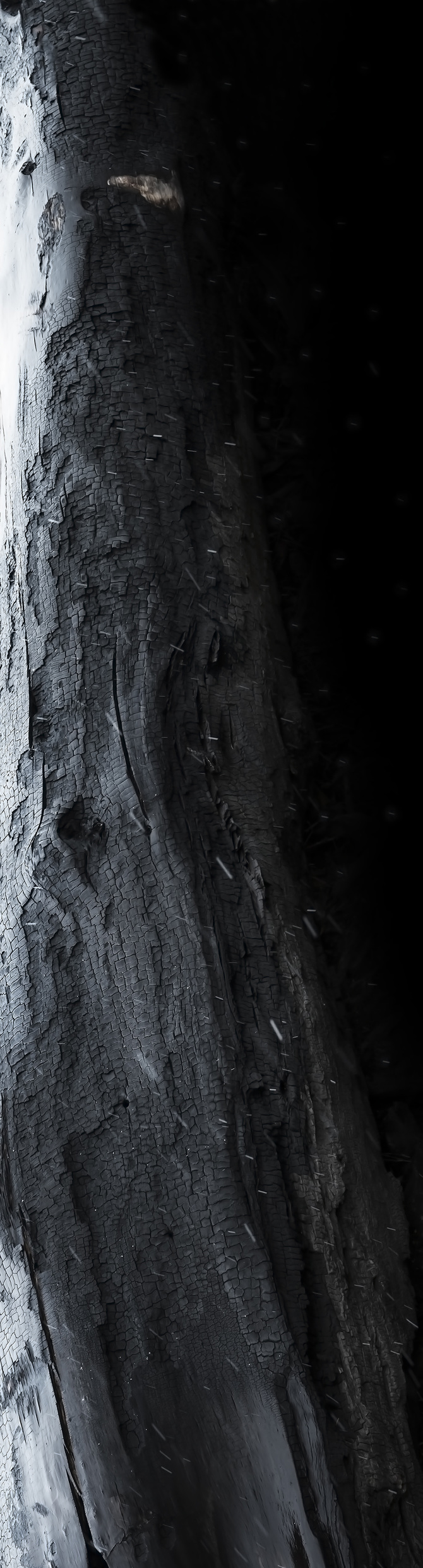 Close-up of charred, cracked wood texture in dark tones with light falling diagonally across the grain, moody and tactile